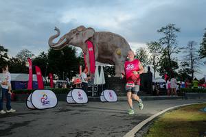 BIB: 
                            <button type="button" onclick="openModal(26529466)" class="btn btn-primary btn-sm float-right btn-popup" data-toggle="modal" data-target=".modal-high-quality">
                        <i class="fas fa-shopping-cart"></i> Add to Cart
                    </button>
                                            <button type="button" onclick="isThisMe(26529466, true)" class="btn btn-success btn-sm float-right btn-popup btn-isme hidden" data-toggle="tooltip" data-placement="bottom" title="นี่คือรูปของคุณใช่ไหม คลิกที่นี่เพื่อเอาเข้าอัลบั้ม">
                        <i class="fas fa-plus"></i> Add to album
                    </button>
                    <button type="button" onclick="isThisMe(26529466, false)" class="btn btn-warning btn-sm float-right btn-popup btn-isnotme hidden">
                        <i class="fas fa-ban"></i> Remove from album
                    </button>